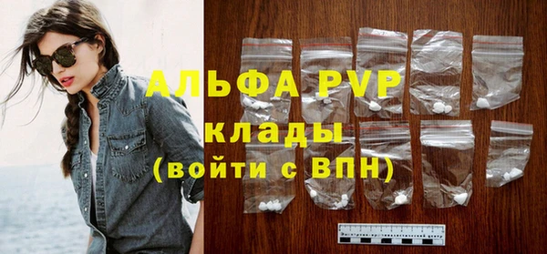 ГАЛЛЮЦИНОГЕННЫЕ ГРИБЫ Богданович
