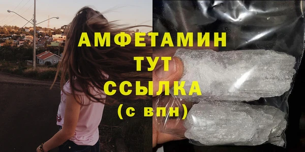ГАЛЛЮЦИНОГЕННЫЕ ГРИБЫ Богданович