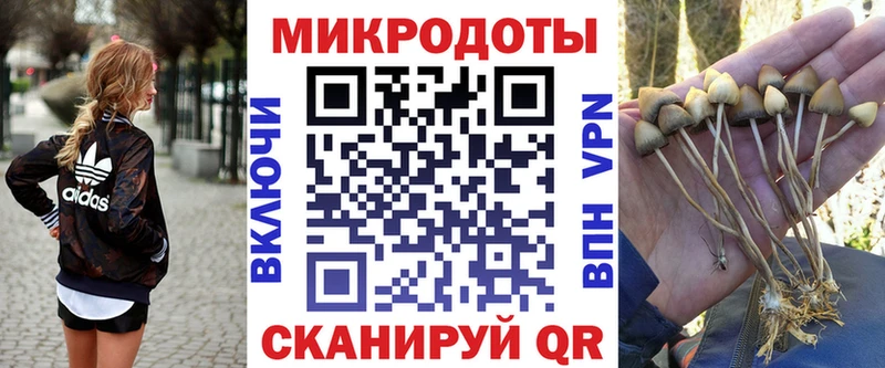 Галлюциногенные грибы MAGIC MUSHROOMS  Безенчук 